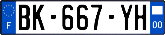 BK-667-YH