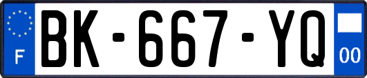 BK-667-YQ