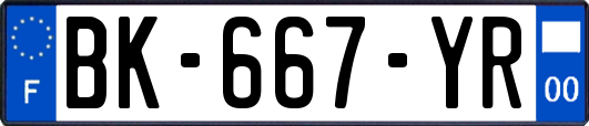 BK-667-YR