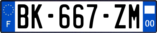 BK-667-ZM