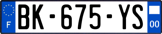 BK-675-YS