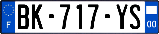 BK-717-YS