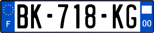 BK-718-KG