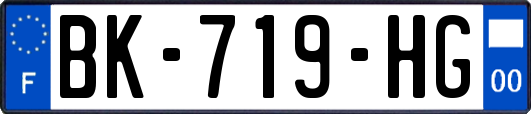 BK-719-HG