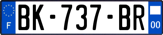 BK-737-BR
