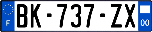 BK-737-ZX
