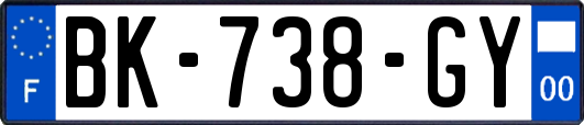 BK-738-GY