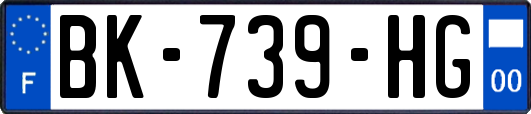 BK-739-HG