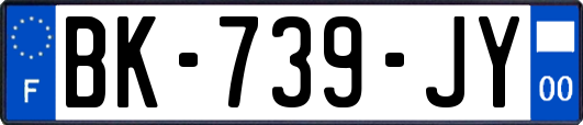 BK-739-JY