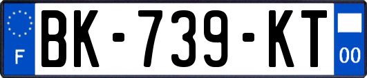 BK-739-KT