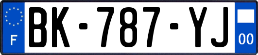 BK-787-YJ