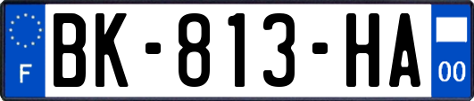 BK-813-HA