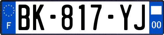 BK-817-YJ