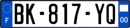 BK-817-YQ