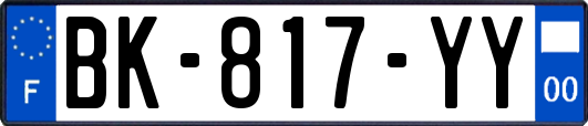 BK-817-YY