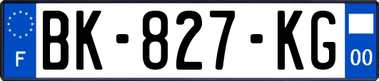 BK-827-KG