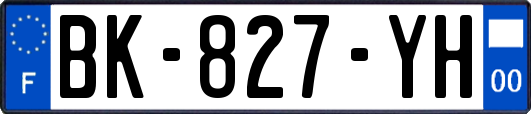 BK-827-YH