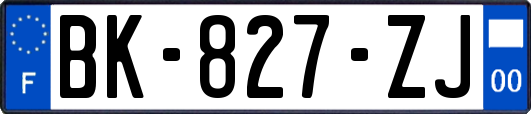 BK-827-ZJ