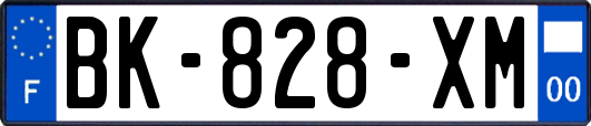 BK-828-XM