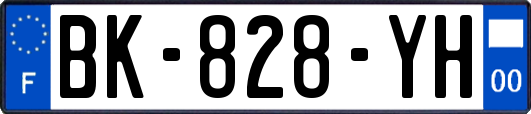 BK-828-YH