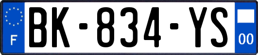 BK-834-YS