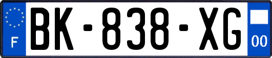 BK-838-XG