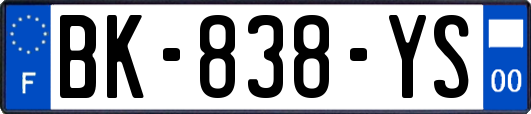 BK-838-YS