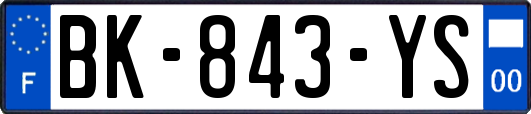 BK-843-YS