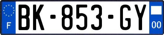 BK-853-GY