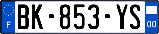 BK-853-YS