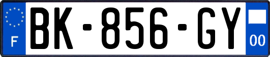 BK-856-GY