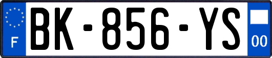 BK-856-YS