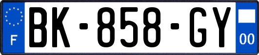 BK-858-GY