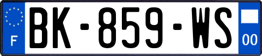 BK-859-WS