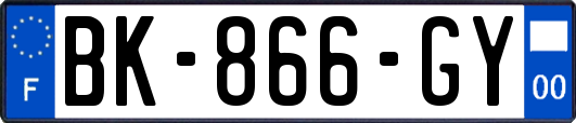 BK-866-GY