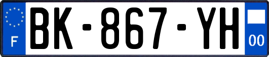 BK-867-YH