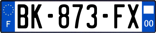 BK-873-FX