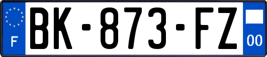 BK-873-FZ