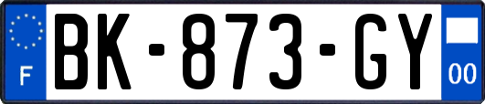 BK-873-GY