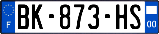 BK-873-HS