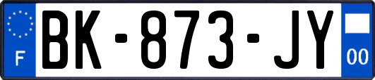 BK-873-JY