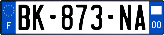 BK-873-NA