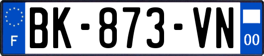 BK-873-VN