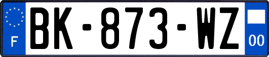 BK-873-WZ