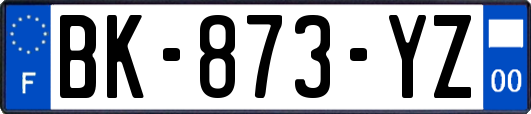 BK-873-YZ