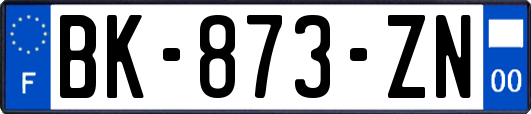 BK-873-ZN