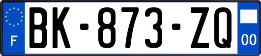 BK-873-ZQ