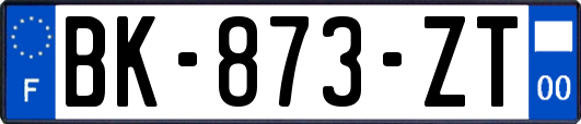 BK-873-ZT