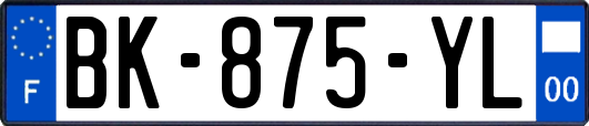 BK-875-YL