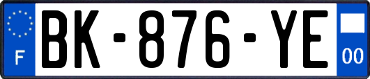 BK-876-YE